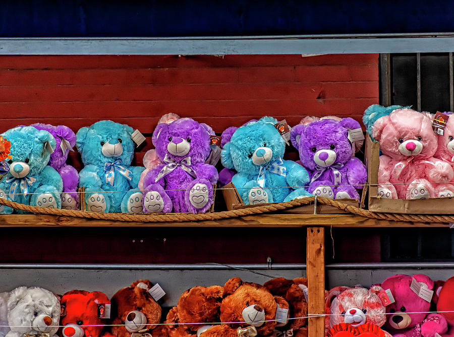 Bears For Sale Photograph