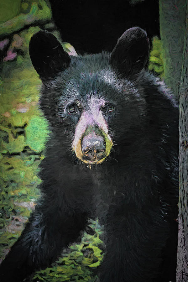 Bears I Love Digital Art by John Haldane