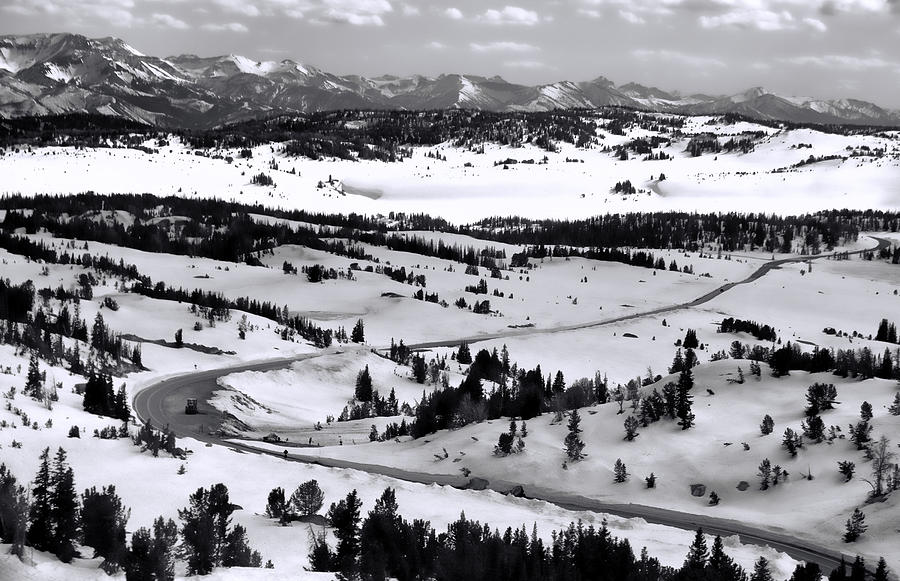 Beartooth Pass Black And White Photograph