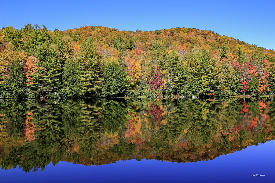 Beartree Reflection Photograph by Dale R Carlson