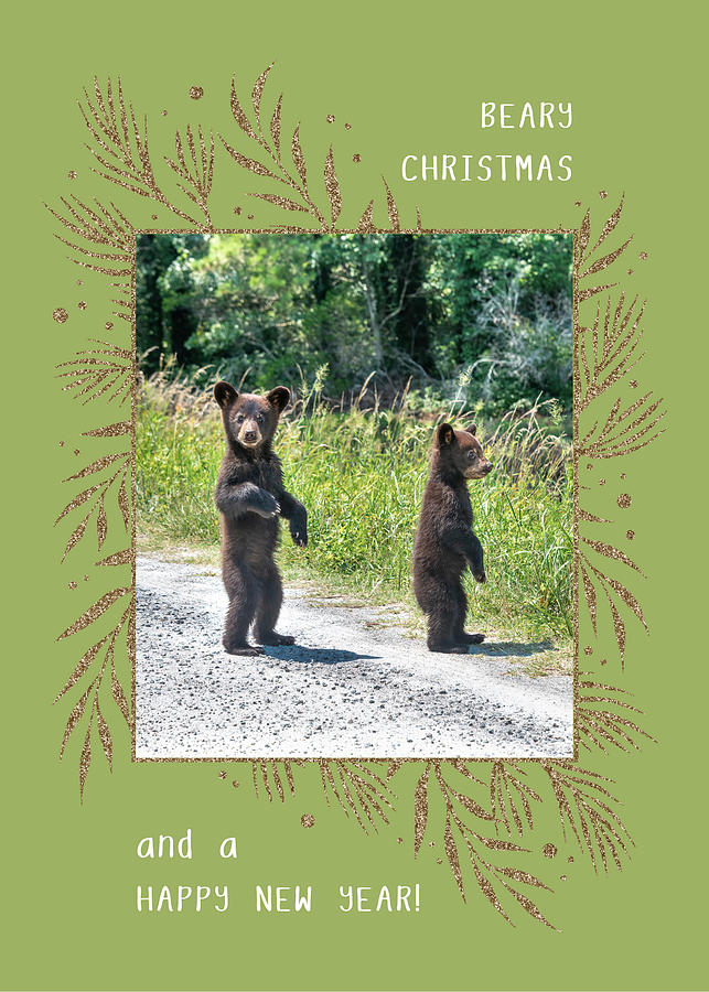 Beary Christmas Bears Photograph by Cyndi Goetcheus Sarfan