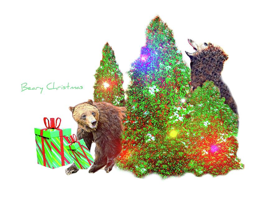 Beary Christmas Photograph by Diana Angstadt