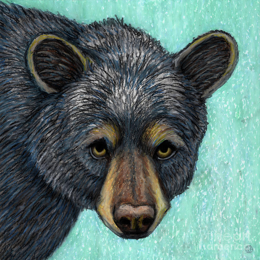 Beary The Black Bear Painting by Amy E Fraser