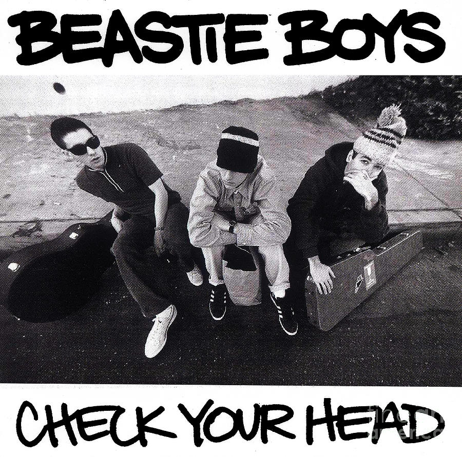 beastie-boys-check-your-head-hanif-bwz.jpg