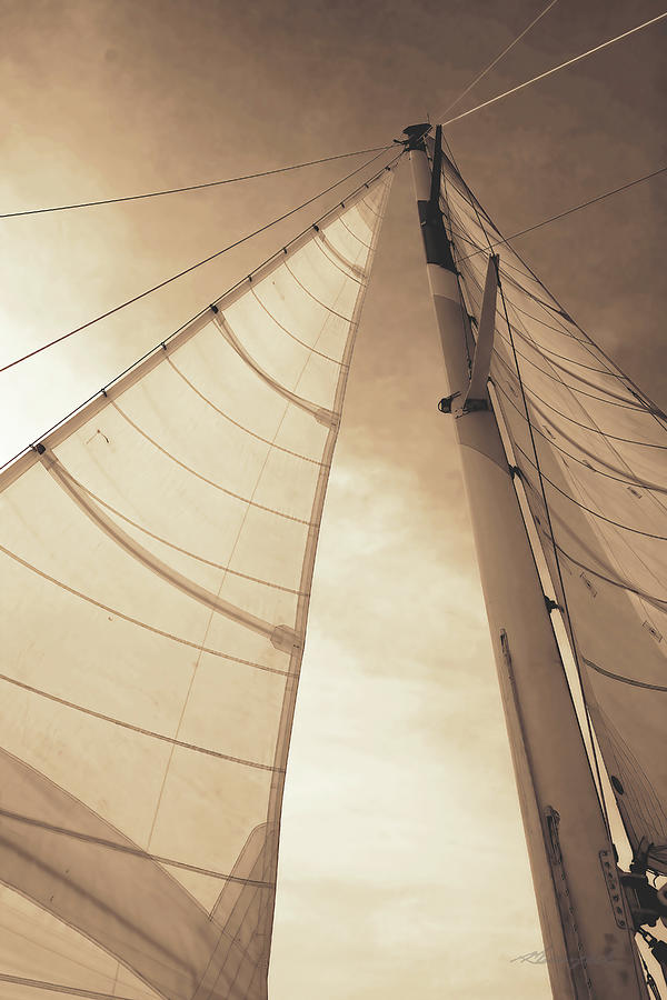 Beaufort Sails Photograph by Alan Hausenflock