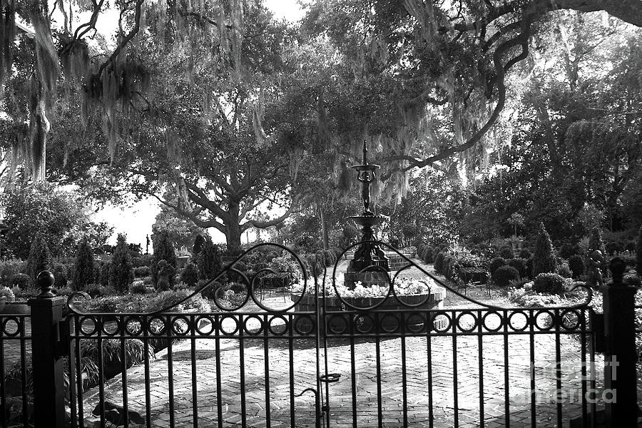Beaufort South Carolina Gated Garden Statues Black White Prints Home Decor Photograph by Kathy Fornal