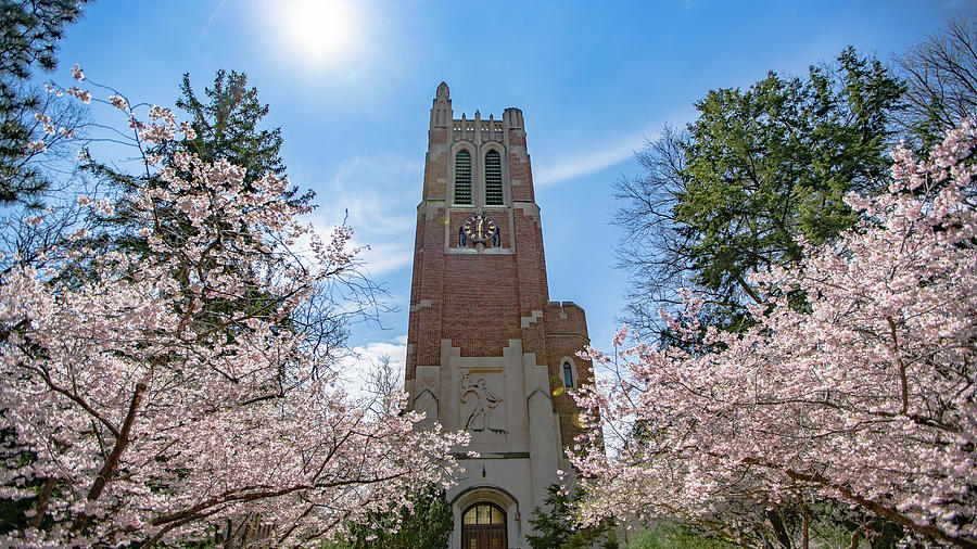 Beaumont Tower in the Spring by John Vial