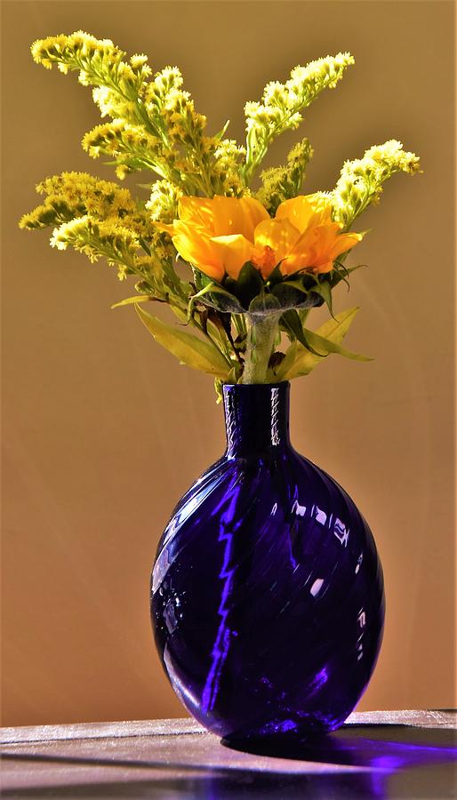 Beauport Sleeper-McCann House Glass Vase - Gloucester Massachusetts Photograph by THERESA Nye