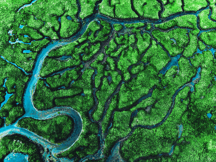 Beautiful aerial view of meander river with affluents and green vegetation. Photograph by Artur Debat