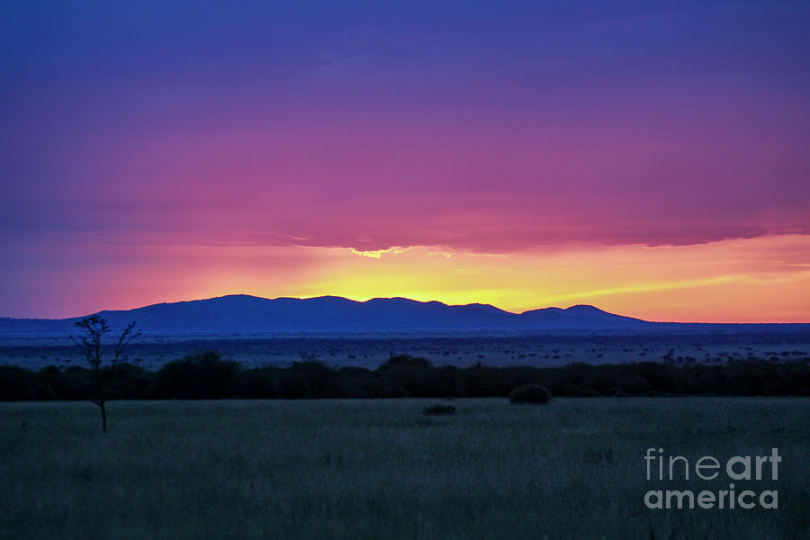 Beautiful African Sunset. S1 Photograph By Gilad Flesch - Fine Art America