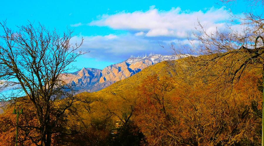 Beautiful Albuquerque, New Mexico in Winter 1-6-2023 14 Photograph by ...