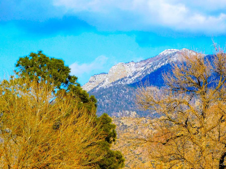 Beautiful Albuquerque, New Mexico in Winter 1-6-2023 43 Photograph by ...