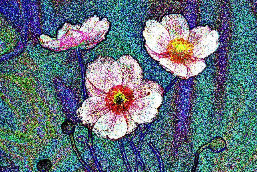Beautiful Anemone Digital Art by Wilma Barnwell Beautiful Anemone Digital Art by Wilma Barnwell