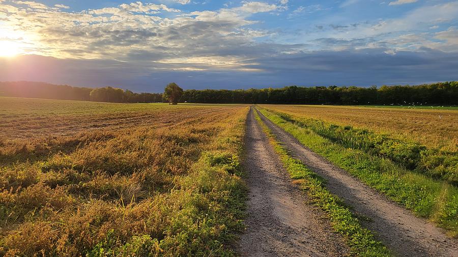 Beautiful Automn Sunlight Photograph by Billy Drolet