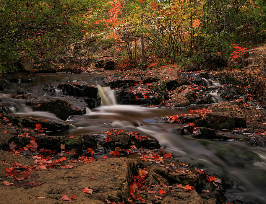 Beautiful Autumn Cascades Photograph by Dan Sproul
