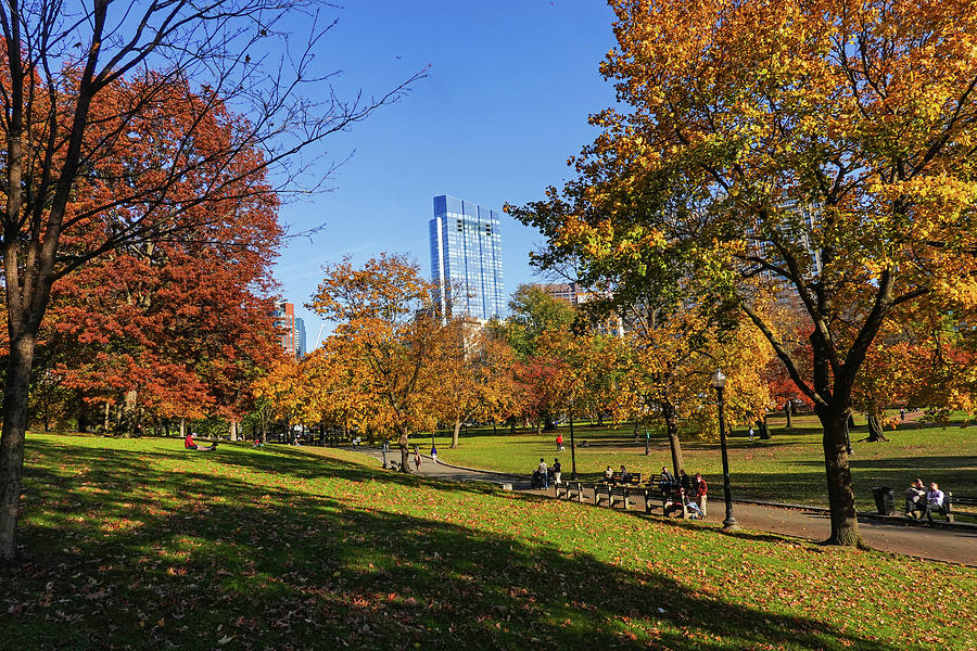 Beautiful Autumn Day on the Boston Common Boston Massachusetts Photograph by Toby McGuire