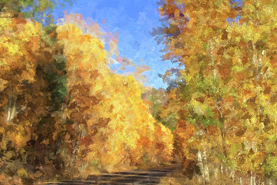 Beautiful Autumn Drive Photograph by Donna Kennedy