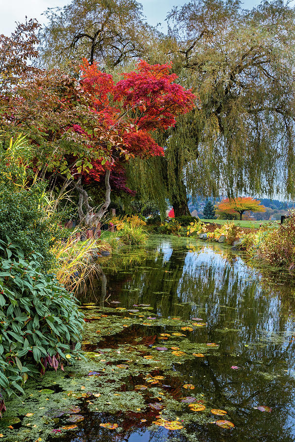 Beautiful autumn  in the park  Photograph by Alex Lyubar