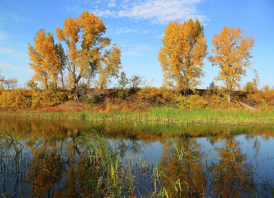 Beautiful Autumn Lake Landscape Photograph by Mikhail Kokhanchikov