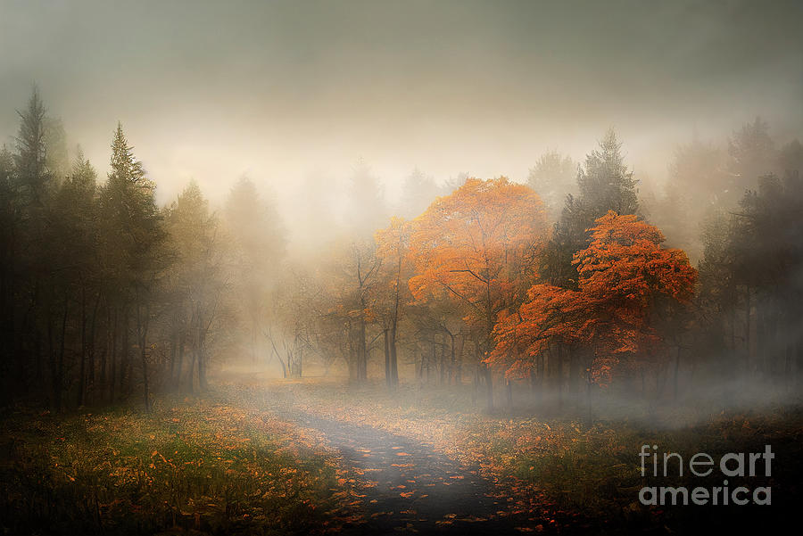 Beautiful autumn landscape of misty forest and path with fall le Digital Art by Jelena Jovanovic