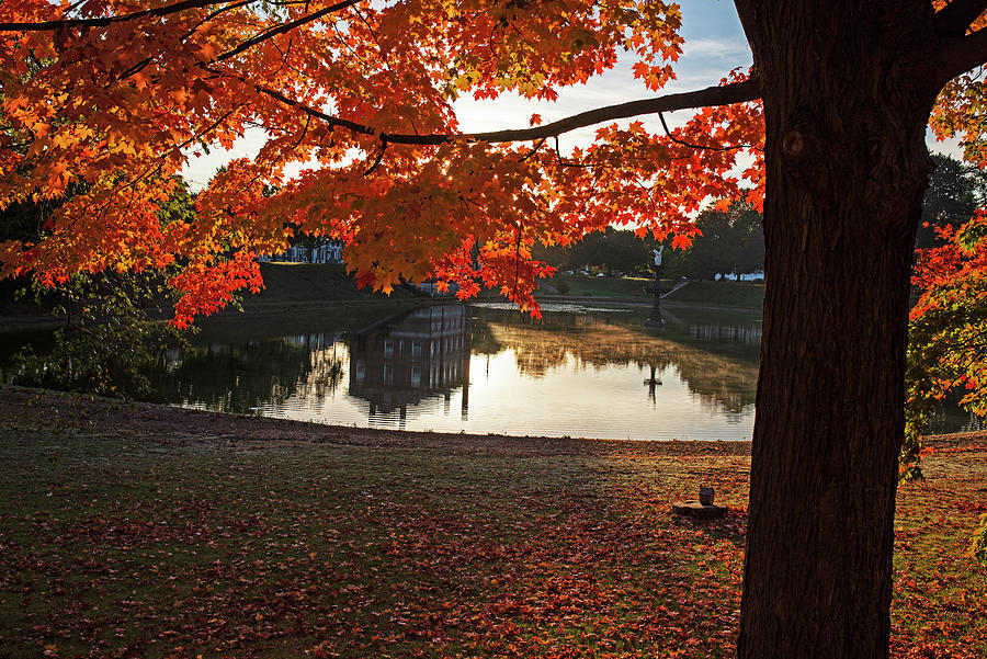 Beautiful Autumn Tree Newburyport Frog Pond Newburyport Massachusetts Photograph by Toby McGuire