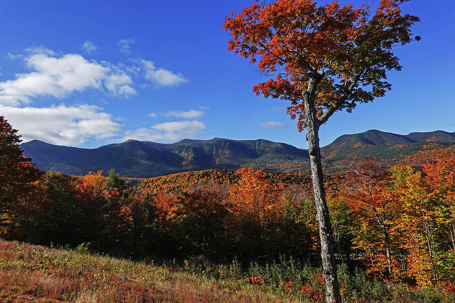 Beautiful Autumn Trees and Mountains Kancamagus Highway Conway New Hampshire. Fall foliage. Red Tree Photograph by Toby McGuire