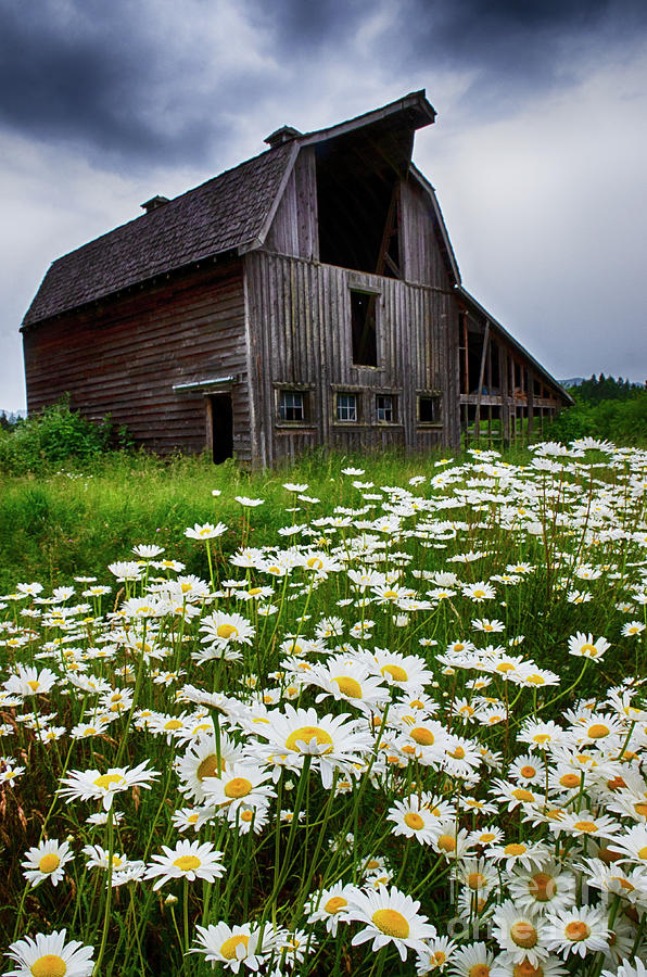 Beautiful Barns Photograph by Bob Christopher
