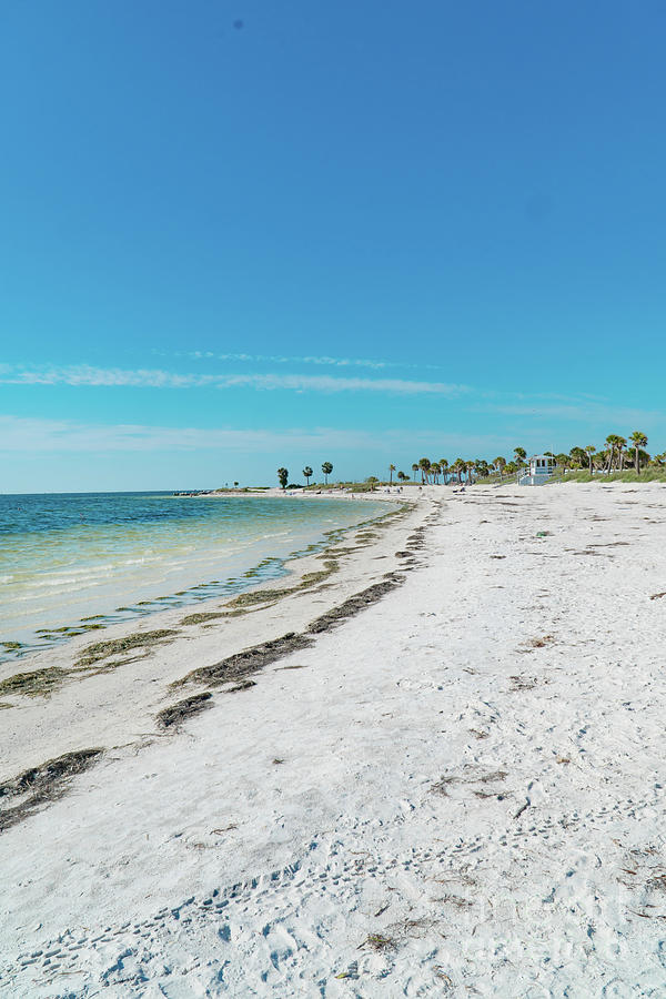 Beautiful beach and the Gulf of Mexico located at Tarpon Springs Photograph by Timothy OLeary