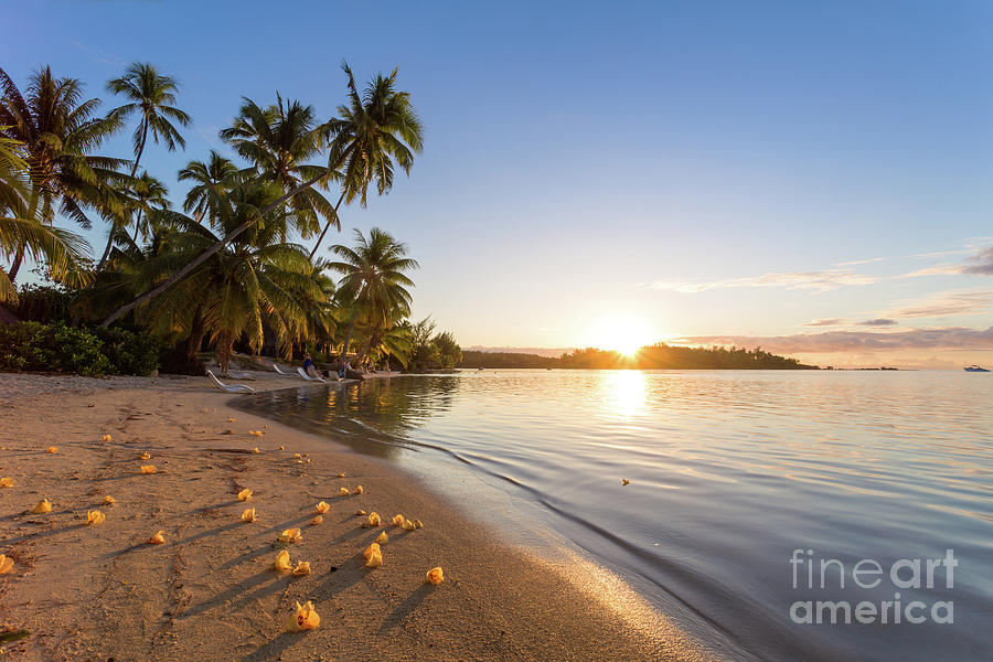 Beautiful beach at sunset, Polynesia Photograph by Matteo Colombo