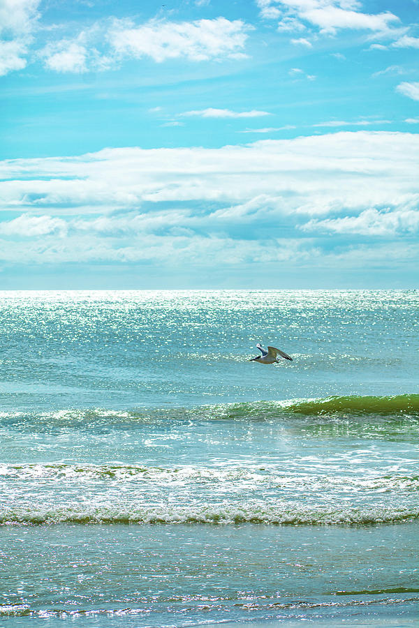 Seagull Photograph - Beautiful Beach Day by Mary Ann Artz