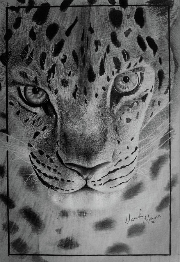 Beautiful beasts Drawing by Nebert Mwenyi - Fine Art America