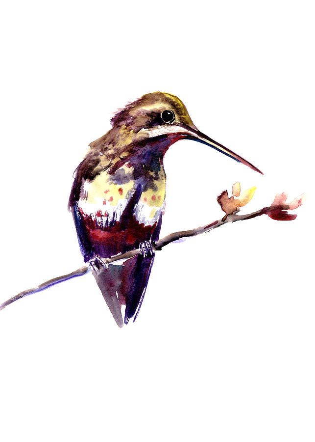Beautiful Bird, Hummingbird on the Branch Painting by Suren Nersisyan