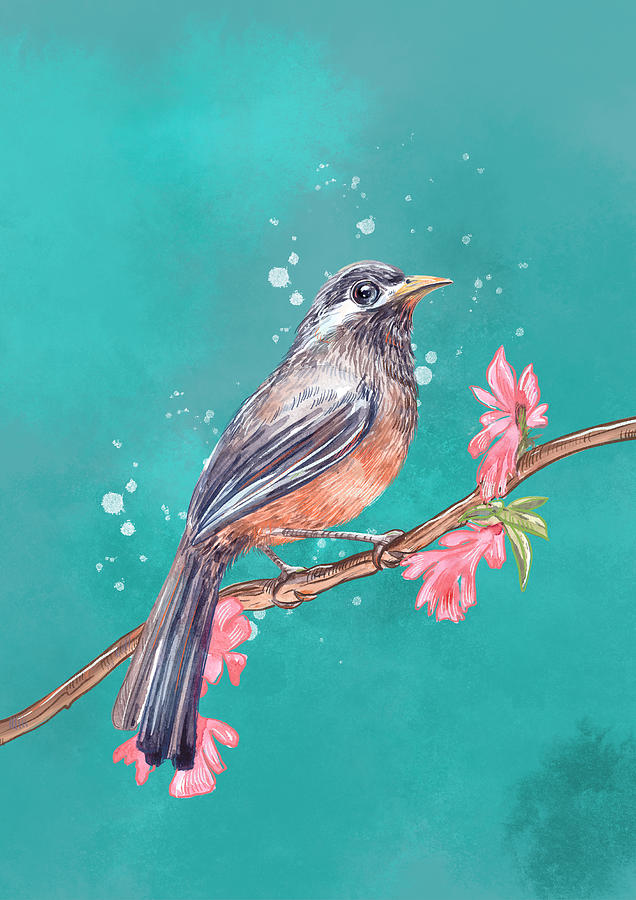 Beautiful Bird Painting Artistic Animal Illustration Painting by Sweet  Birdie Studio - Pixels
