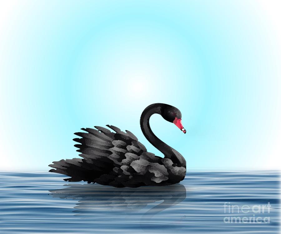 Beautiful Black Swan Painting