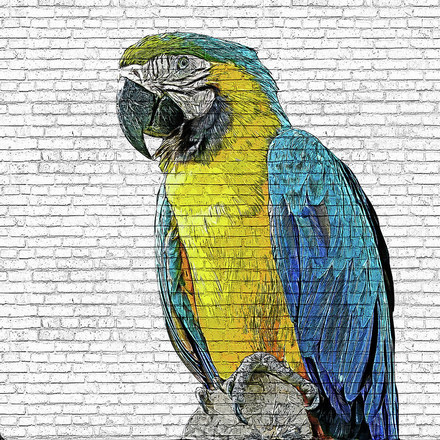 Beautiful Blue and Yellow Macaw - Brick Block Background Painting by Custom Pet Portrait Art Studio