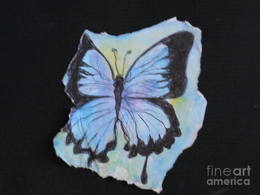 Butterfly Mixed Media - Beautiful blue butterfly by M C Sturman