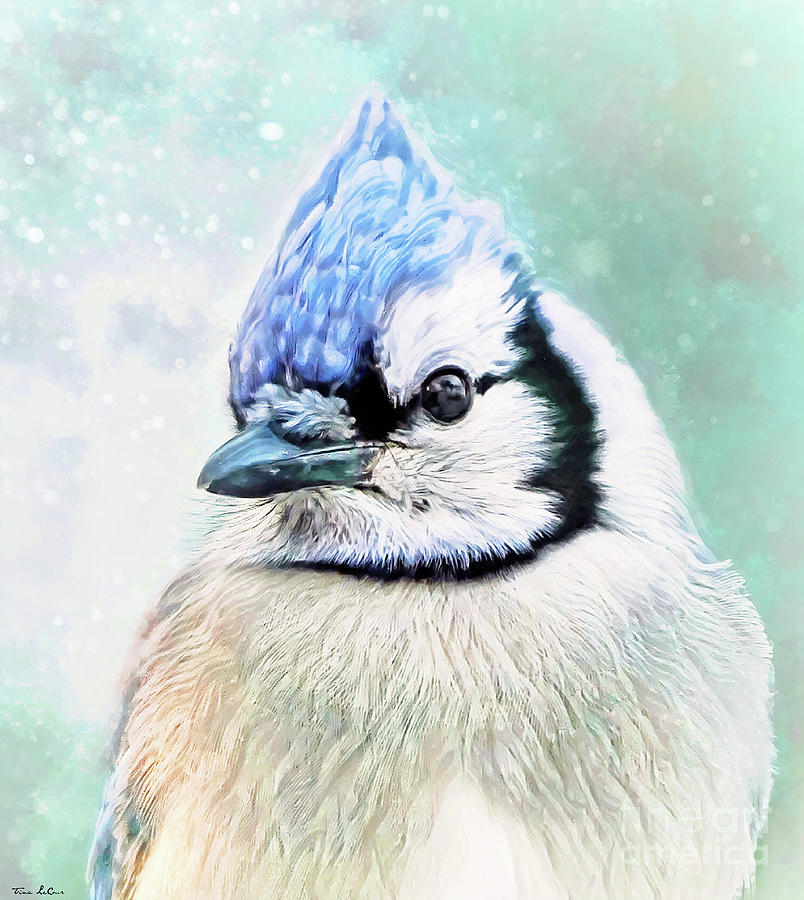 Beautiful Blue Jay by Tina LeCour