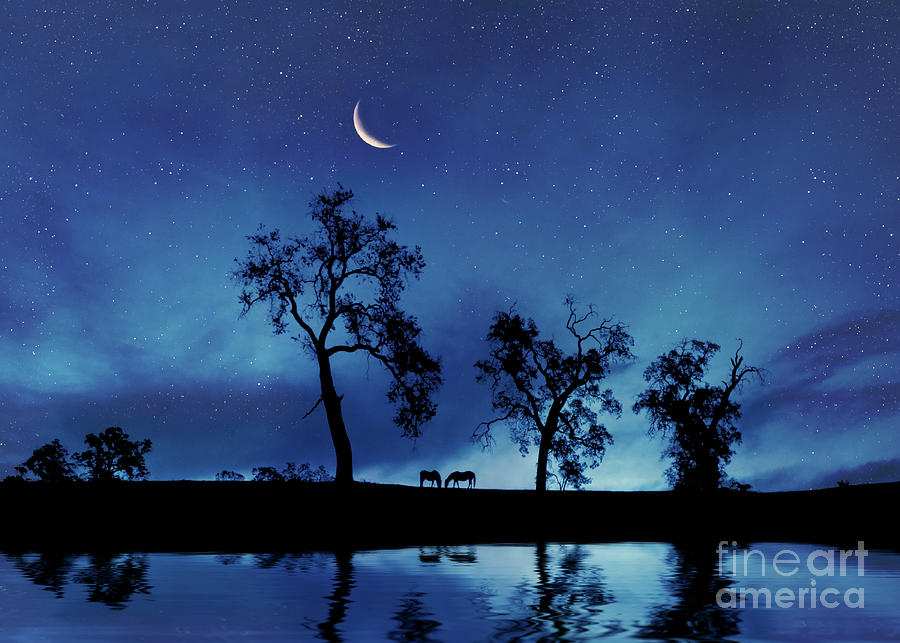 Beautiful Blue Night With Stars Crescent Moon Horses Oak Trees and Water Photograph by Stephanie Laird