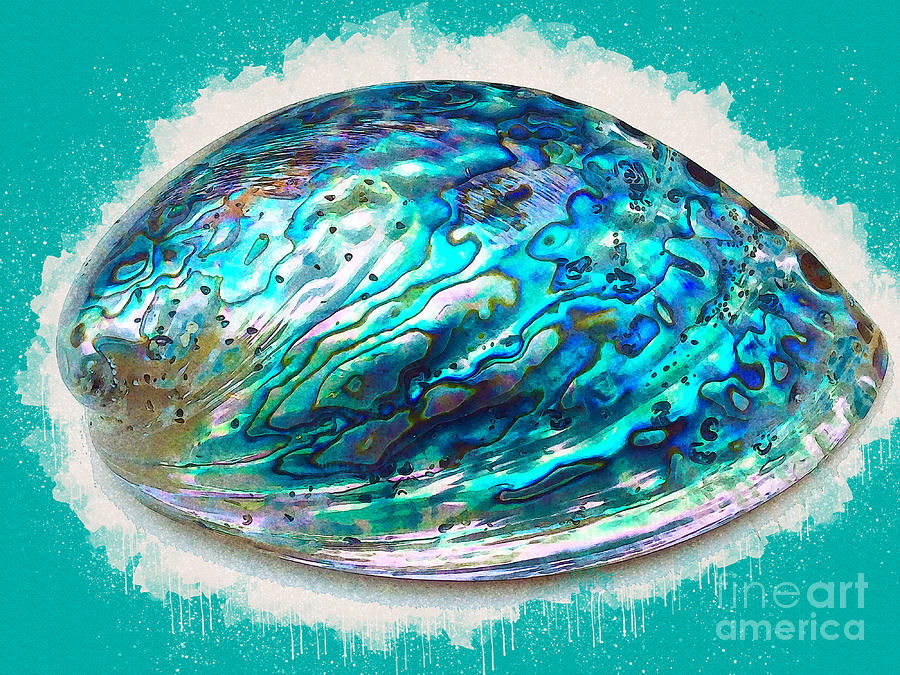 Beautiful Blue Sea Shell Painting by Tracy Eatwell - Fine Art America