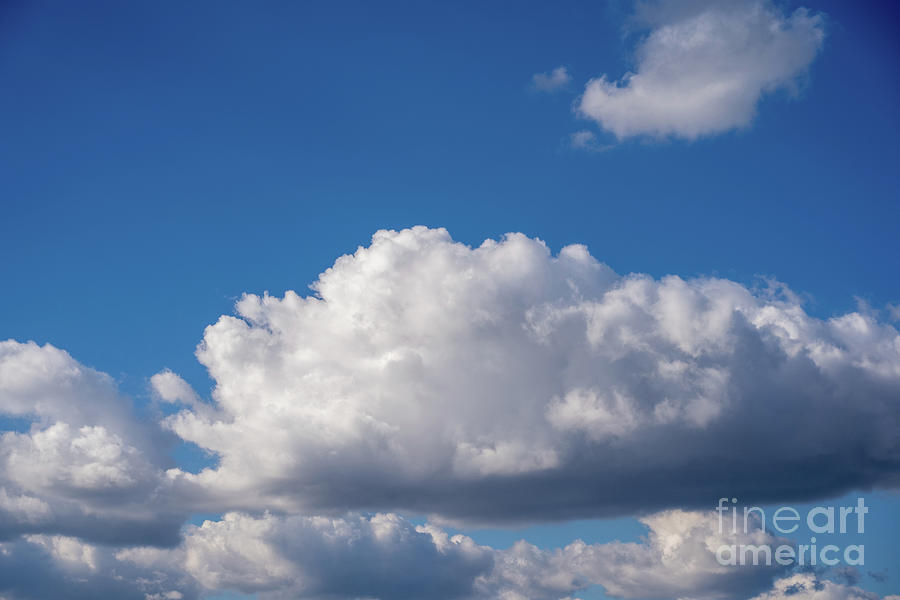 Beautiful blue sky with fluffy white clouds Photograph by Mendelex Photography