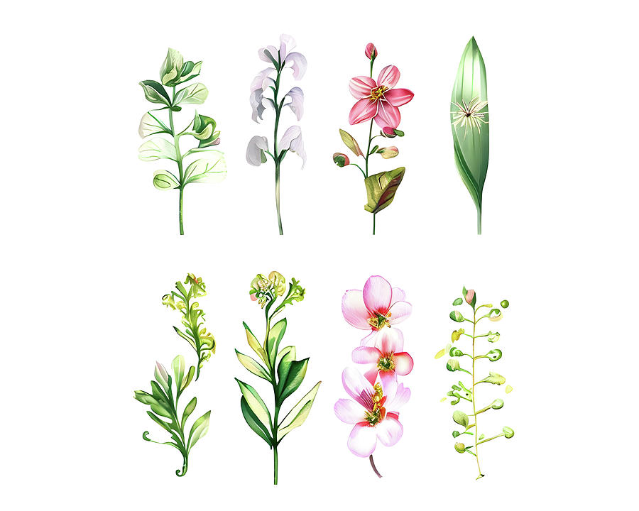 Beautiful Botanicals Digital Art by Alison Frank