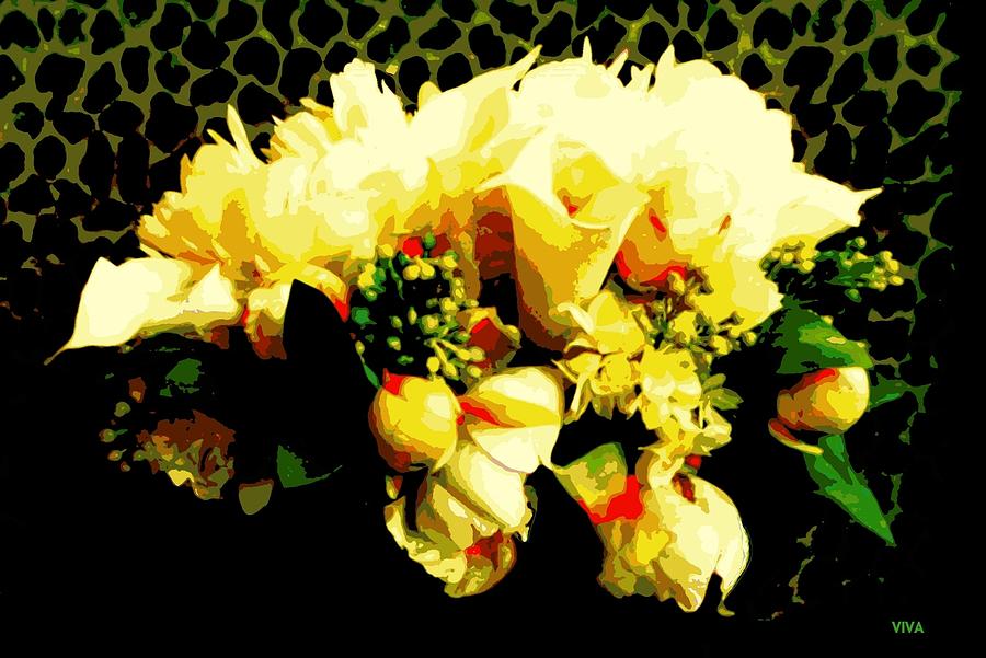 Beautiful Bouquet Moderne Photograph by VIVA Anderson