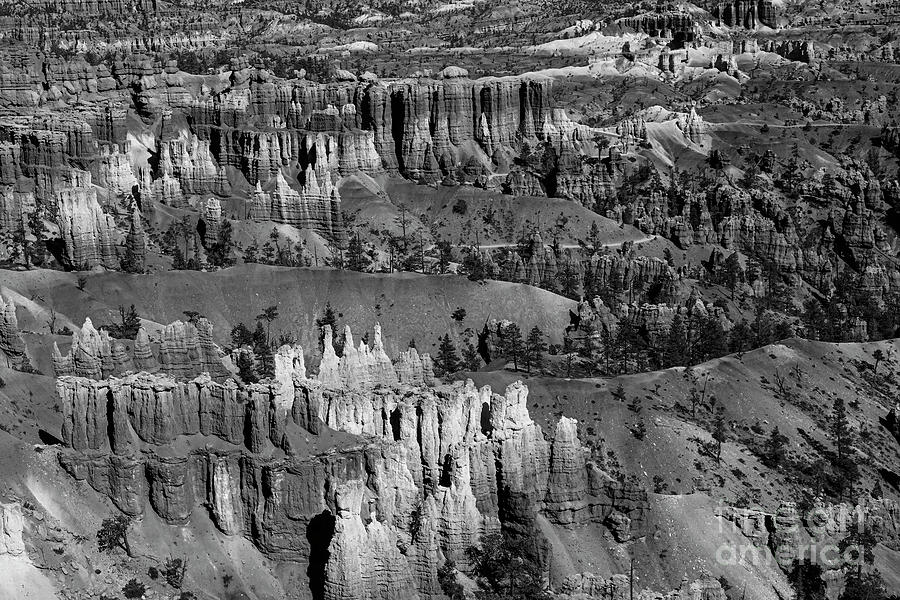 Beautiful Bryce Canyon National Park Beautiful BW Photograph by Wayne Moran