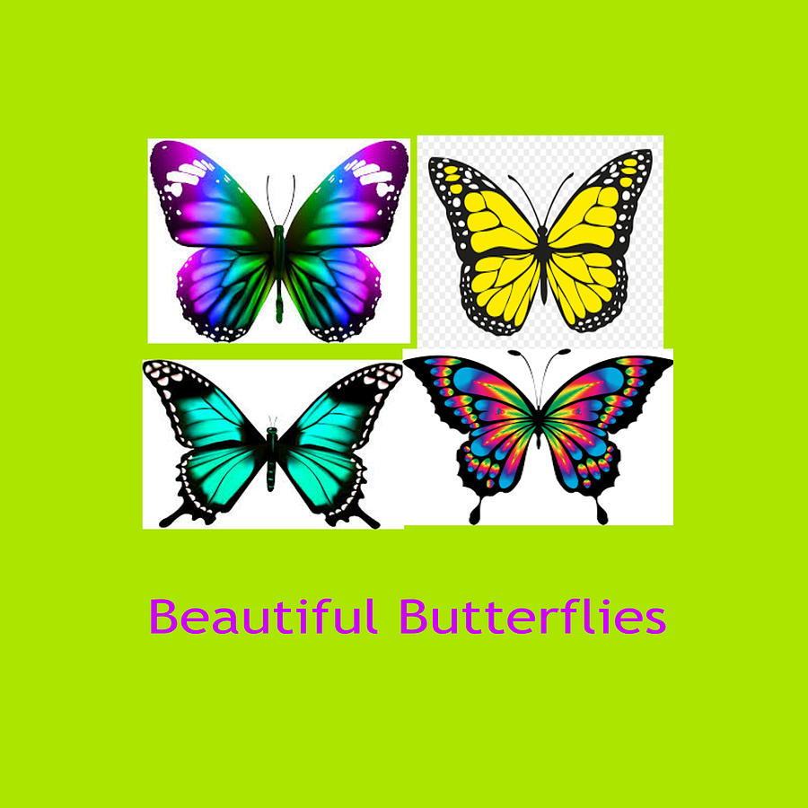 Beautiful Butterflies Digital Art by Dolores Boyd