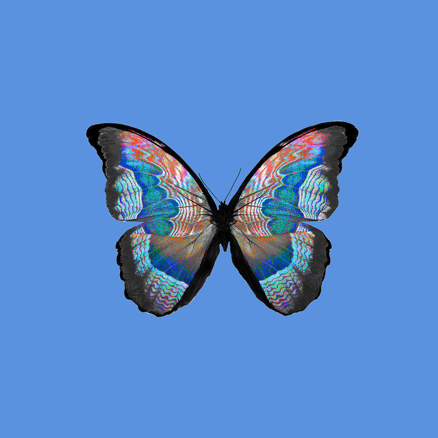 beautiful butterfly isolated on white. multicolor insect. tropic T-Shirt Painting by Tony Rubino