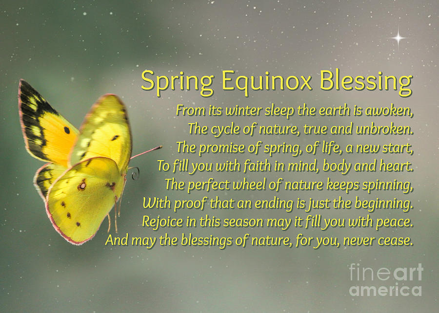 Beautiful Butterfly Spring Equinox, Vernal Equinox, Ostara Blessings, Card, Equinox Cards Photograph by Stephanie Laird