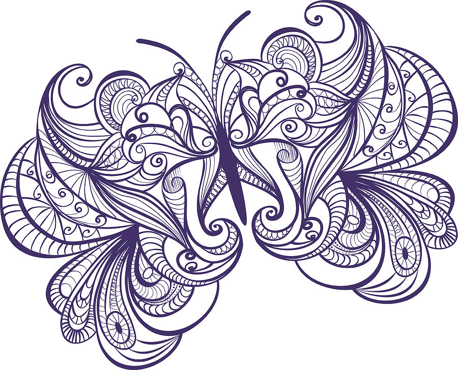 Beautiful Butterfly Drawing by Yremesova