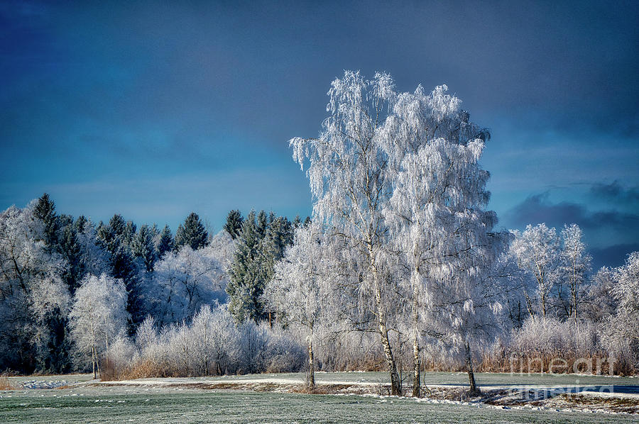 Beautiful Cold Photograph by Edmund Nagele FRPS
