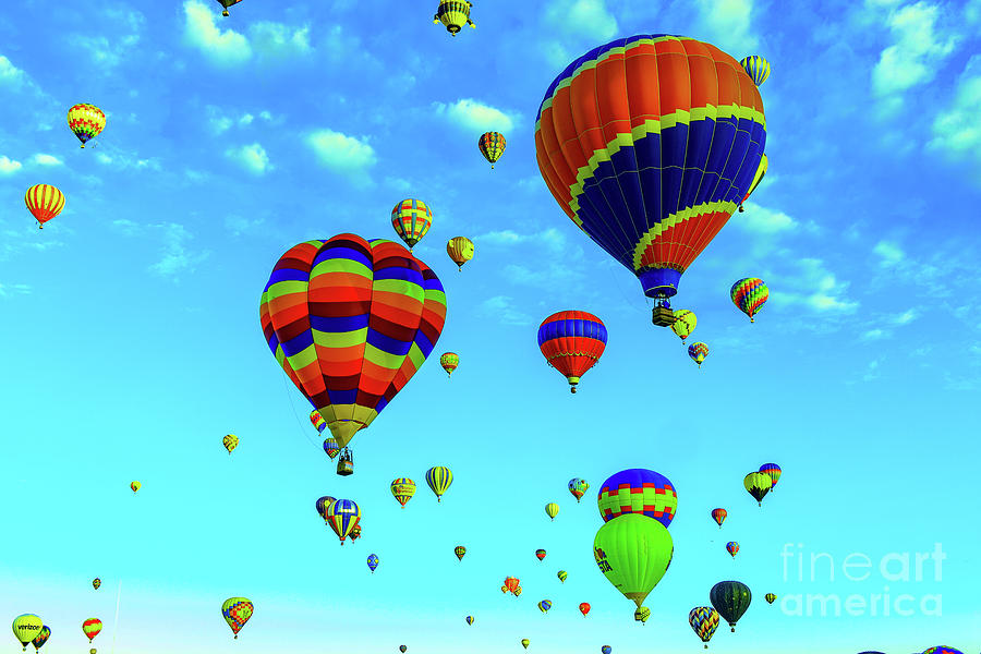 Beautiful Colored Balloons Photograph