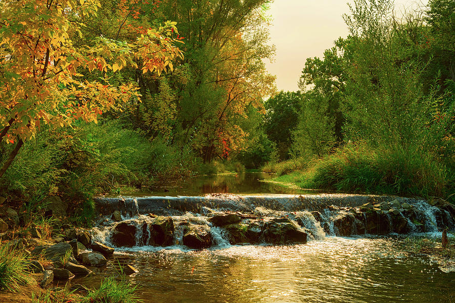 Beautiful Colorful Left Hand Creek Fall View Photograph